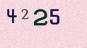 Visual Confirmation Security Code