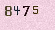 Visual Confirmation Security Code