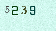 Visual Confirmation Security Code