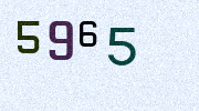 Visual Confirmation Security Code