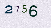 Visual Confirmation Security Code