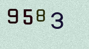 Visual Confirmation Security Code