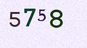 Visual Confirmation Security Code
