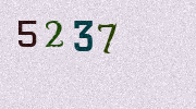 Visual Confirmation Security Code