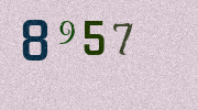 Visual Confirmation Security Code