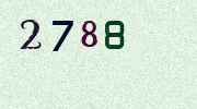 Visual Confirmation Security Code