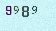 Visual Confirmation Security Code