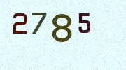 Visual Confirmation Security Code
