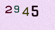 Visual Confirmation Security Code