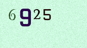 Visual Confirmation Security Code