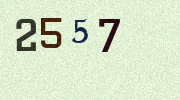 Visual Confirmation Security Code