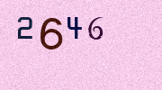 Visual Confirmation Security Code