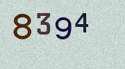 Visual Confirmation Security Code