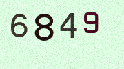 Visual Confirmation Security Code