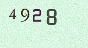 Visual Confirmation Security Code