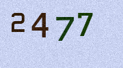 Visual Confirmation Security Code