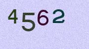 Visual Confirmation Security Code