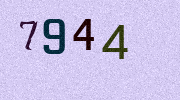 Visual Confirmation Security Code