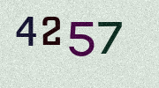 Visual Confirmation Security Code