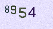 Visual Confirmation Security Code