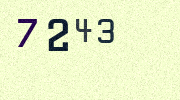 Visual Confirmation Security Code