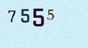 Visual Confirmation Security Code