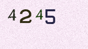 Visual Confirmation Security Code