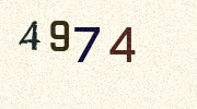 Visual Confirmation Security Code