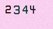 Visual Confirmation Security Code