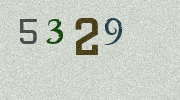 Visual Confirmation Security Code