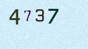 Visual Confirmation Security Code
