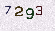 Visual Confirmation Security Code