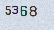 Visual Confirmation Security Code
