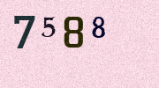 Visual Confirmation Security Code