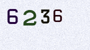 Visual Confirmation Security Code