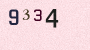 Visual Confirmation Security Code