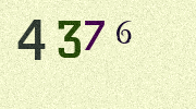 Visual Confirmation Security Code