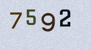 Visual Confirmation Security Code
