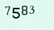 Visual Confirmation Security Code