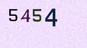 Visual Confirmation Security Code