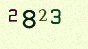 Visual Confirmation Security Code