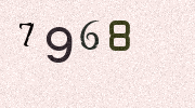 Visual Confirmation Security Code