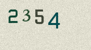Visual Confirmation Security Code