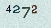 Visual Confirmation Security Code