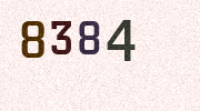 Visual Confirmation Security Code
