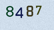 Visual Confirmation Security Code