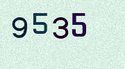 Visual Confirmation Security Code