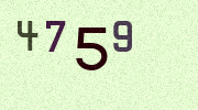 Visual Confirmation Security Code