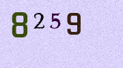Visual Confirmation Security Code