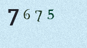Visual Confirmation Security Code